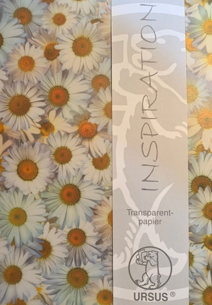 Transparentpapier Ursus Margerite